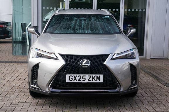 Lexus UX F Sport Design GX25ZKM Silver #4