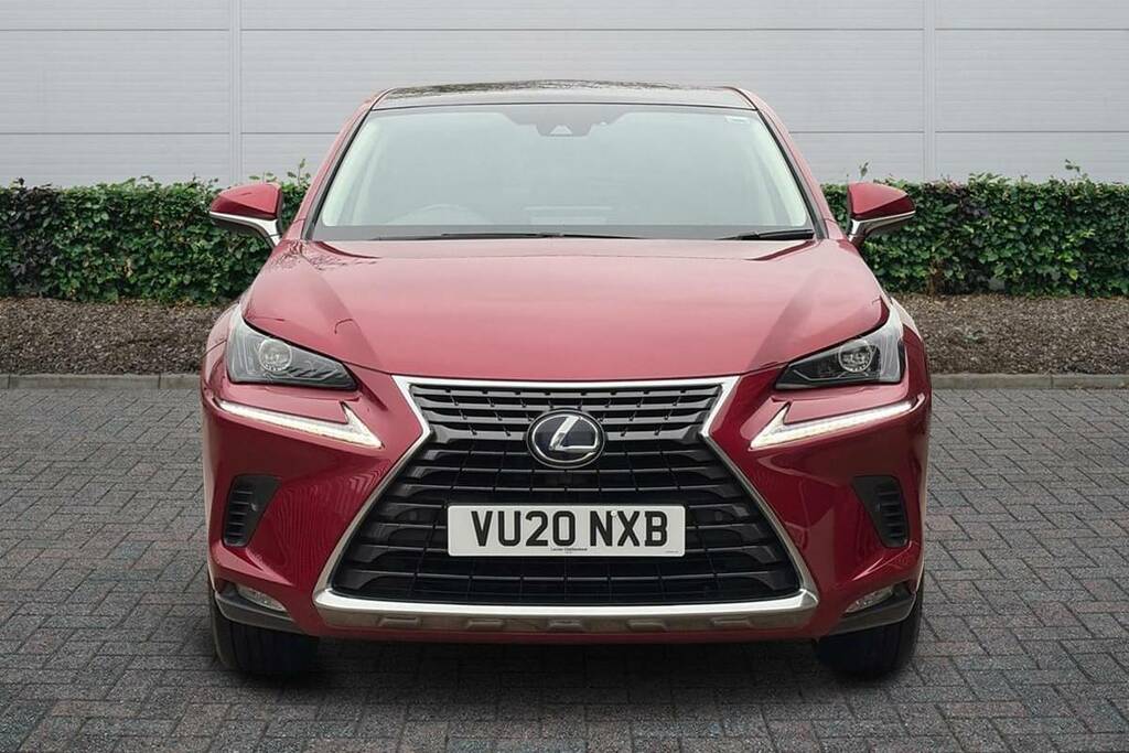 Lexus NX 300H 2.5 Cvt Premium Packpan Roof VU20NXB Red #3