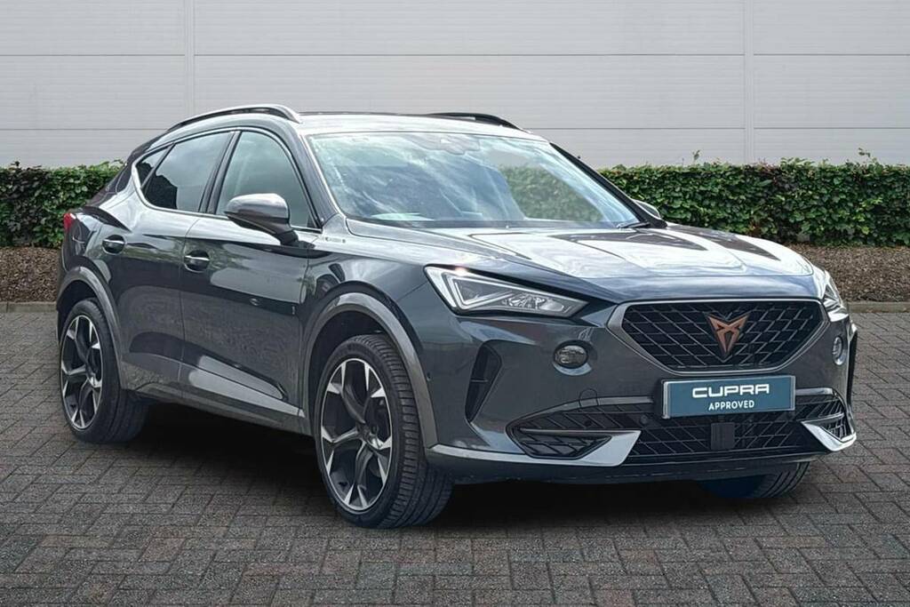 Cupra Formentor 1.5 Tsi 150 V2 Dsg Grey