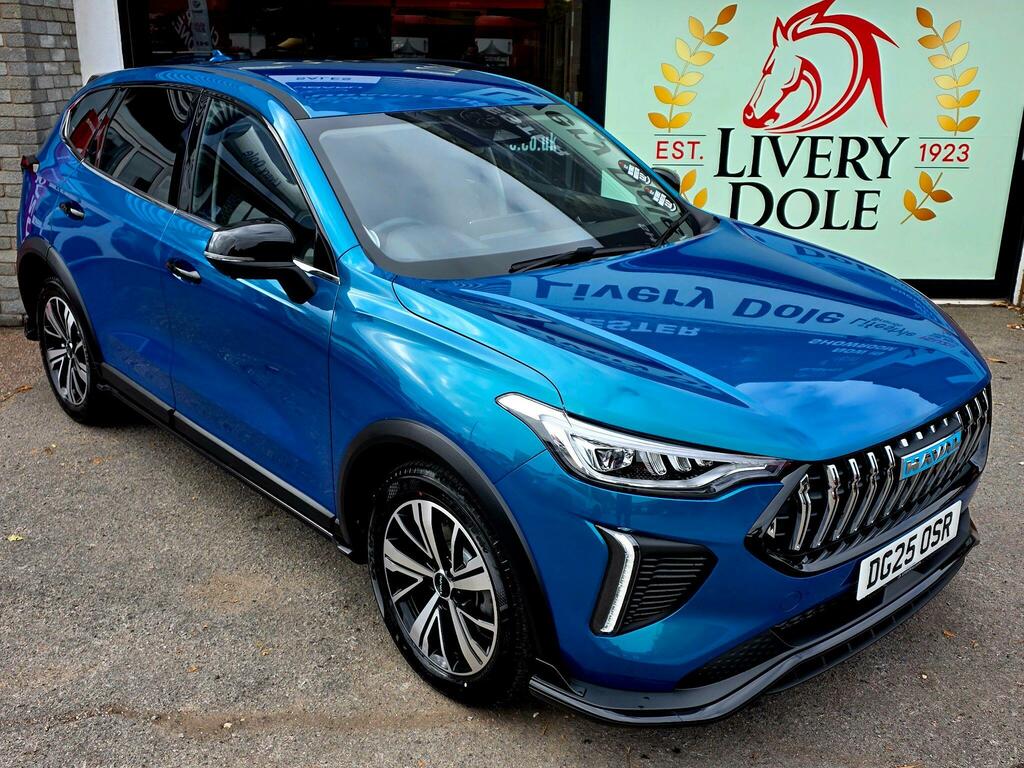 Great Wall Haval Jolion Pro 1.5 Lux Dht Euro 6 Ss DG25OSR Blue #4