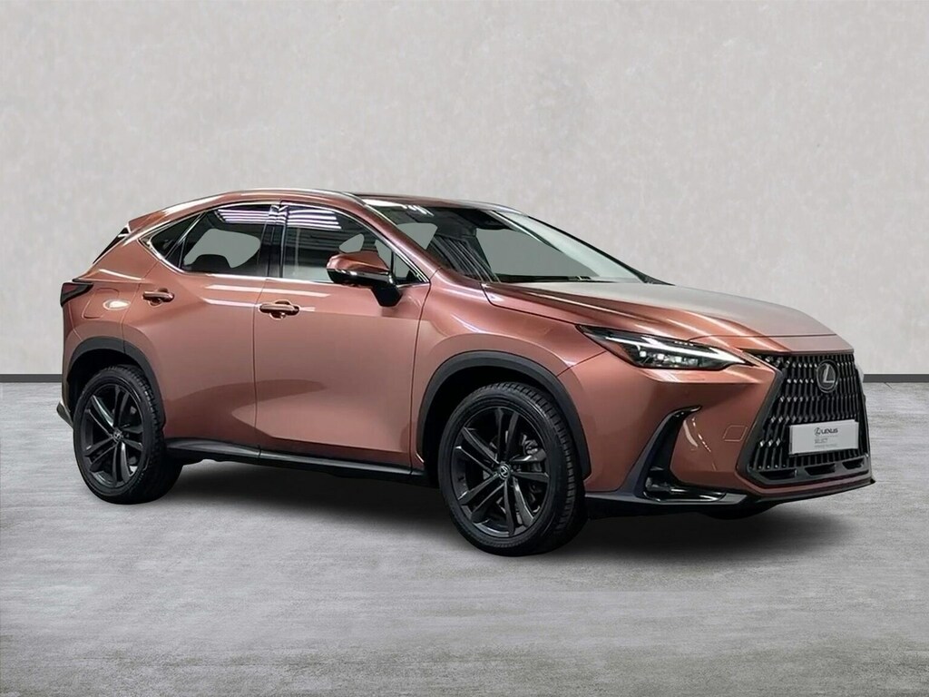 Lexus NX 450H 2.5 Premium Plus E-cvt Brown