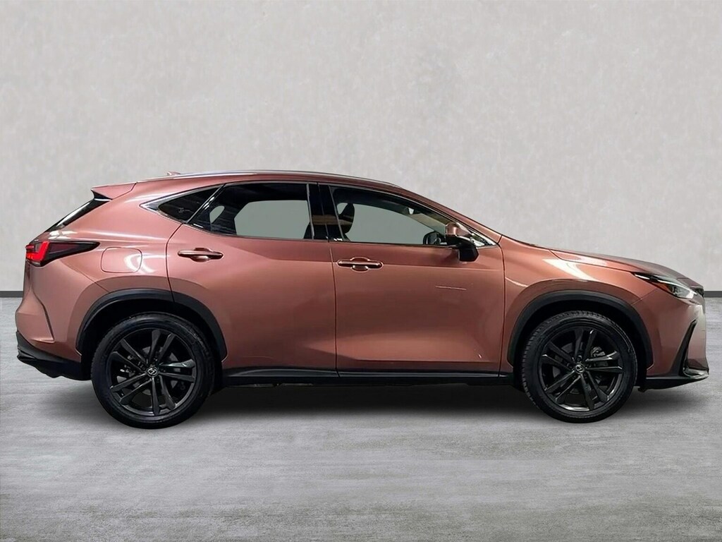 Lexus NX 450H 2.5 Premium Plus E-cvt WU74UNX Brown #3