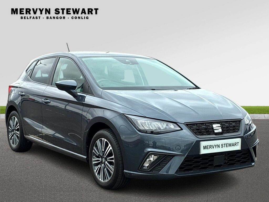 Seat Ibiza Se Edition Tsi Grey