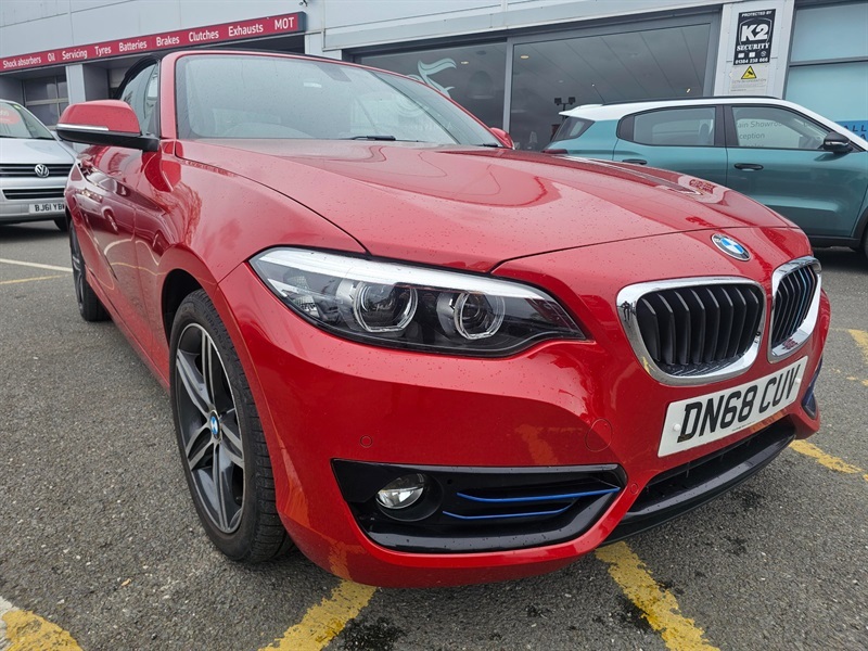 BMW 2 Series 2.0 220D Sport Convertible Euro 6 Red #4