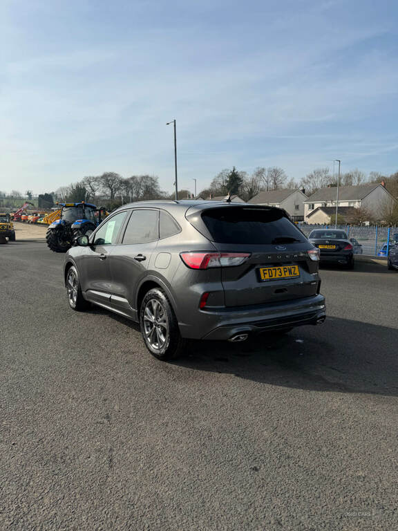Ford Kuga 2.5 Fhev St-line Edition Cvt Grey