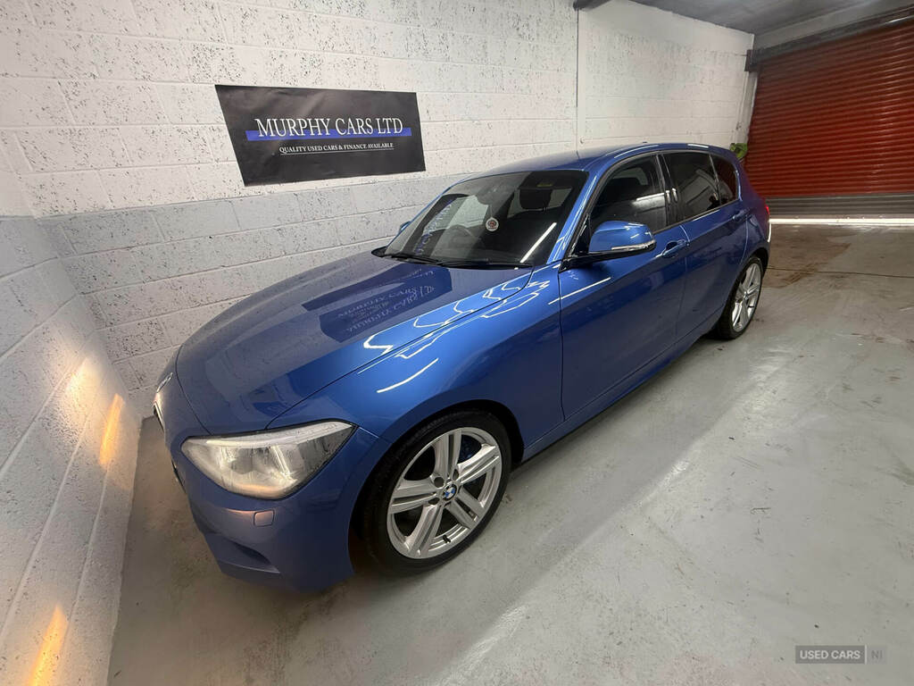 BMW 1 Series 116D M Sport SE13HFJ Blue #2