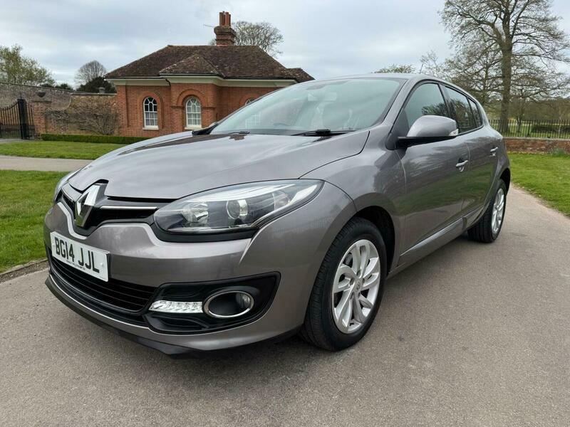 Renault Megane Authentique 16V Scenic Silver #15