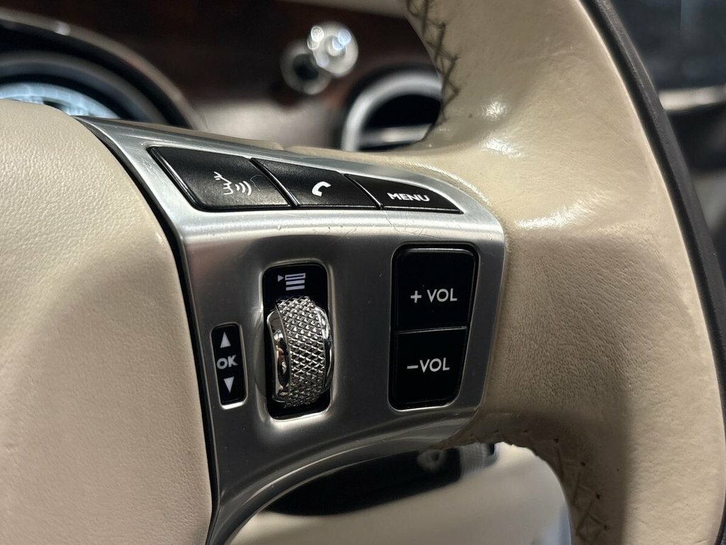 Bentley Flying Spur Petrol #45