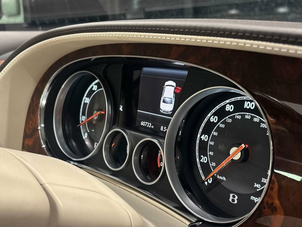 Bentley Flying Spur Petrol #15