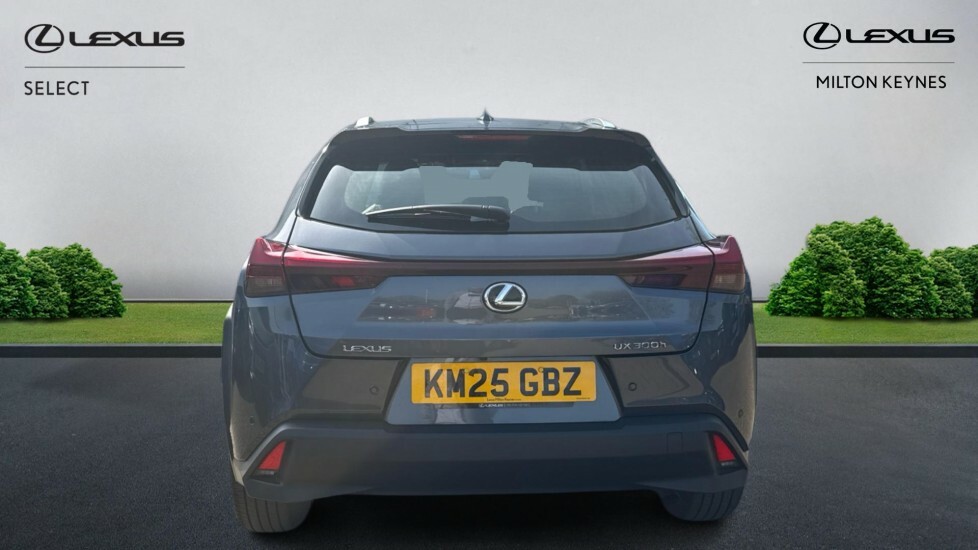 Lexus UX 2.0 300H Premium E-cvt Euro 6 Ss KM25GBZ Grey #5
