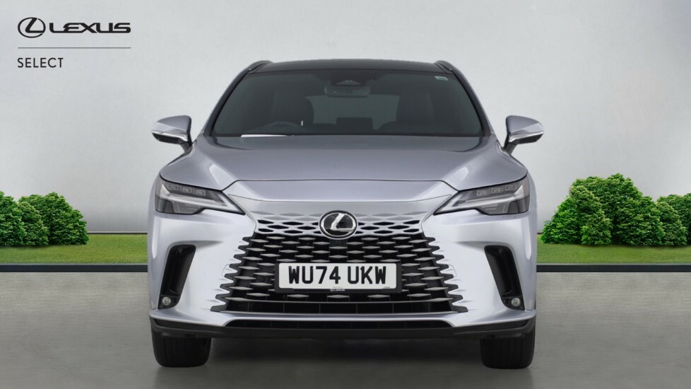 Lexus RX 2.5 350H Prem Plus E-cvt 4Wd Euro 6 Ss WU74UKW Silver #4