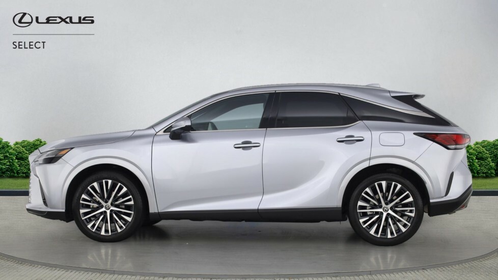 Lexus RX 2.5 350H Prem Plus E-cvt 4Wd Euro 6 Ss WU74UKW Silver #3