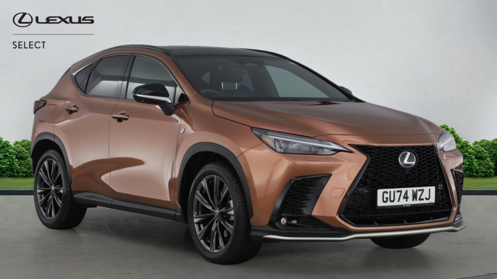 Lexus NX 2.5 450H 18.1Kwh F Sport E-cvt 4Wd Euro 6 Ss 5