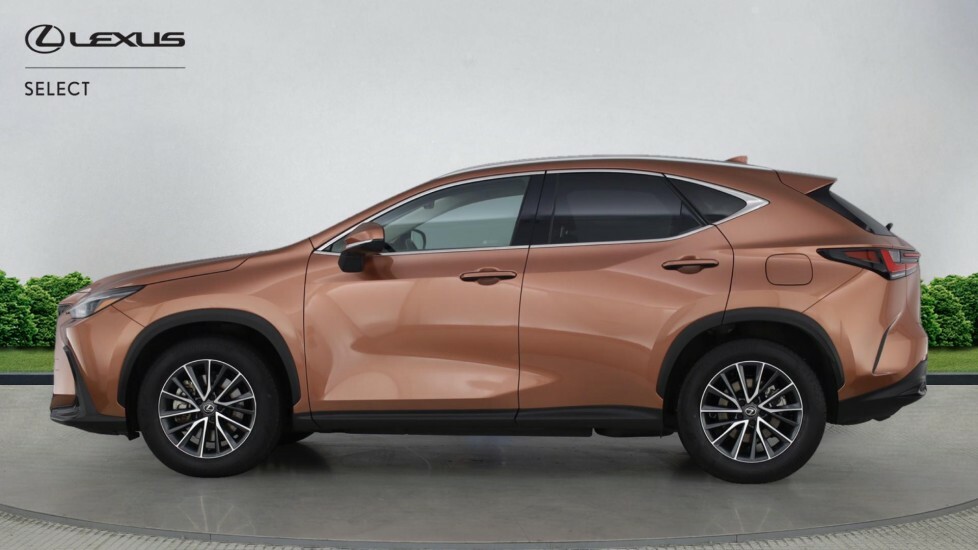 Lexus NX 2.5 450H 18.1Kwh Suv Plug-in Hybrid E- GU74XFX Brown #3