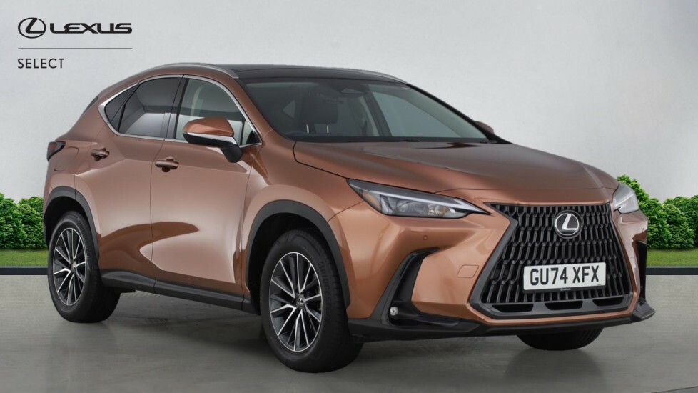 Lexus NX 2.5 450H 18.1Kwh Suv Plug-in Hybrid E- Brown