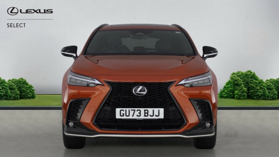 Lexus NX 2.5 450H 18.1Kwh F Sport E-cvt 4Wd Euro 6 Ss 5 GU73BJJ #4