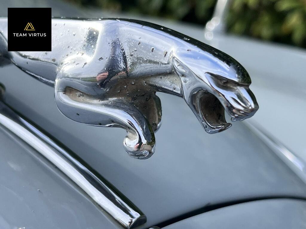 Jaguar Mark II 3.4 Mark 2 3.4 Grey #5