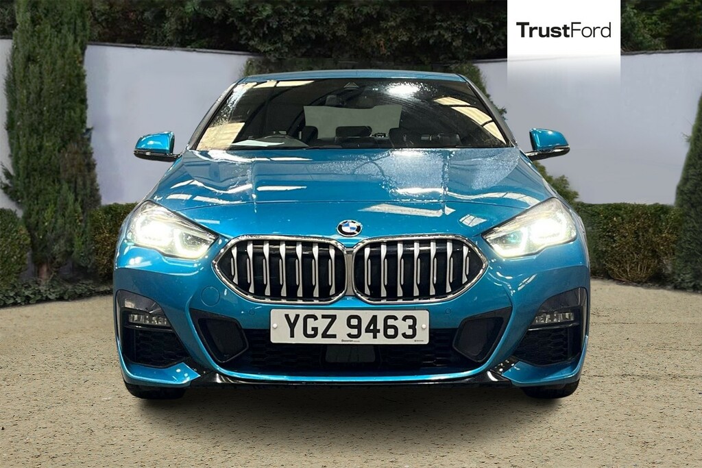 BMW 2 Series 218I 136 M Sport 4Dr- Heated Front Seats YGZ9463 Blue #6