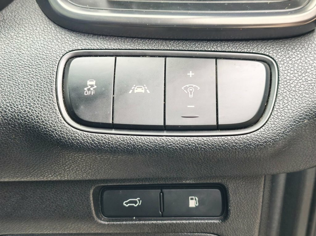 Kia Sorento #22