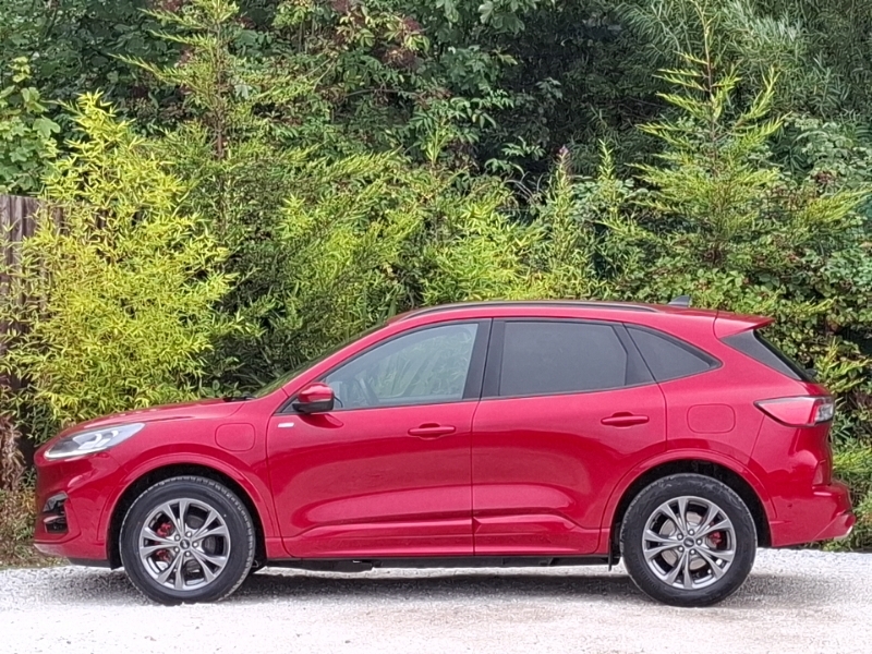 Ford Kuga 2.5 Phev St-line Edition Cvt SE73RLZ Red #4