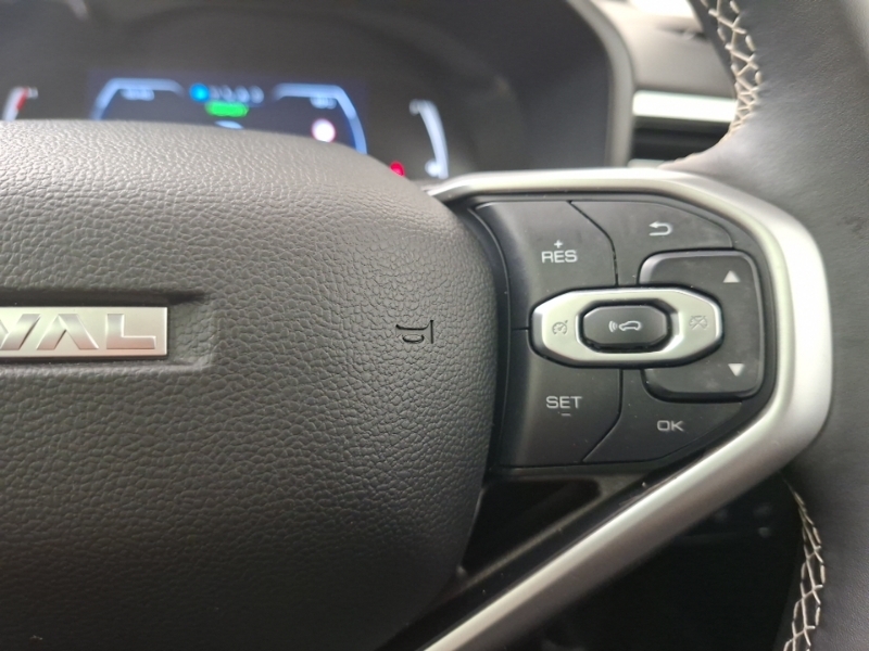 Great Wall Haval Jolion Pro 1.5 Ehev Lux Dht White #13