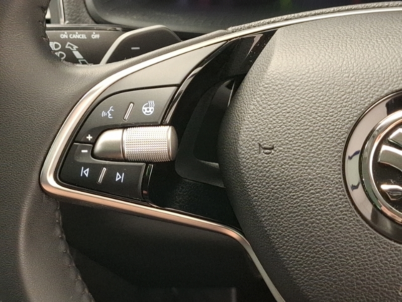 Skoda Karoq 1.5 Tsi Sportline Dsg Estate Grey #12