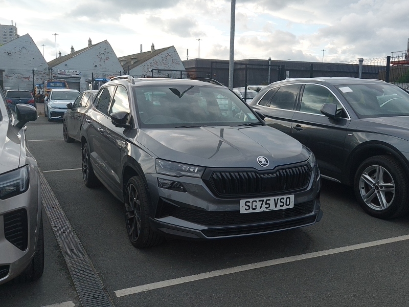 Skoda Karoq 1.5 Tsi Sportline Edition Dsg Grey