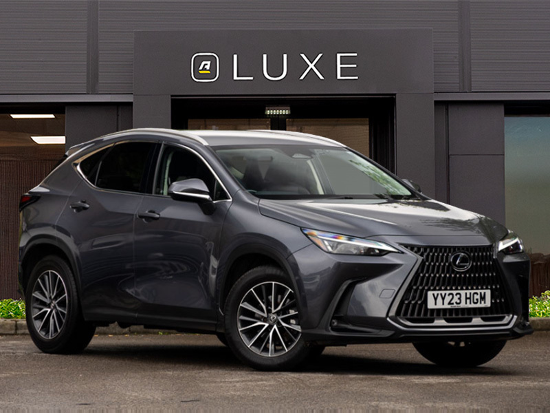 Lexus NX Suv White #14