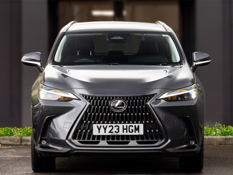 Lexus NX Suv White #10