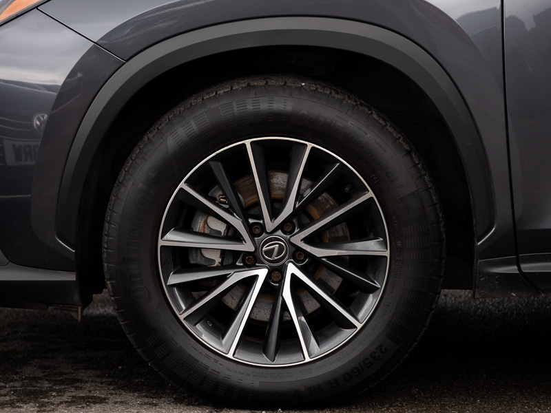 Lexus NX Suv White #17