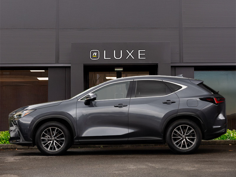 Lexus NX Suv White #4