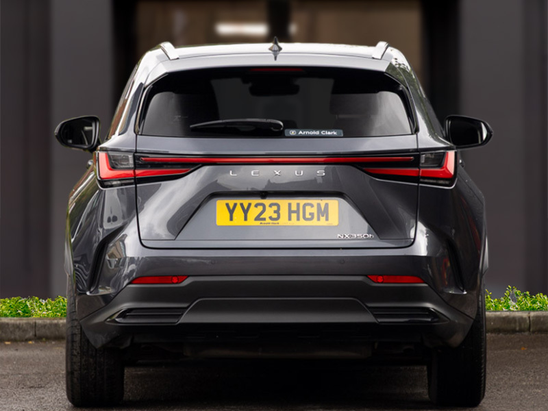 Lexus NX Suv White #12