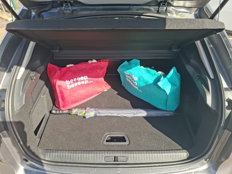 Citroen e-C4 Extended Range 54Kwh Max  #18