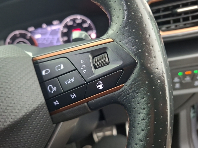 Cupra Formentor V2 Grey #13