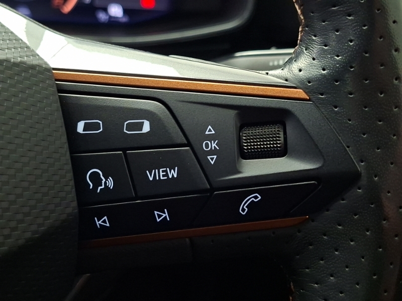Cupra Formentor V2 Grey #13