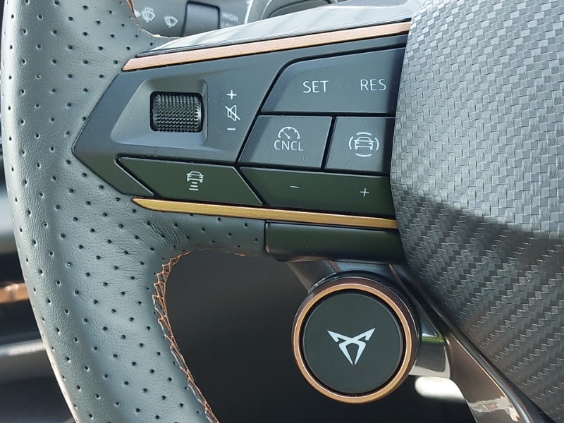 Cupra Terramar V2 Blue #12