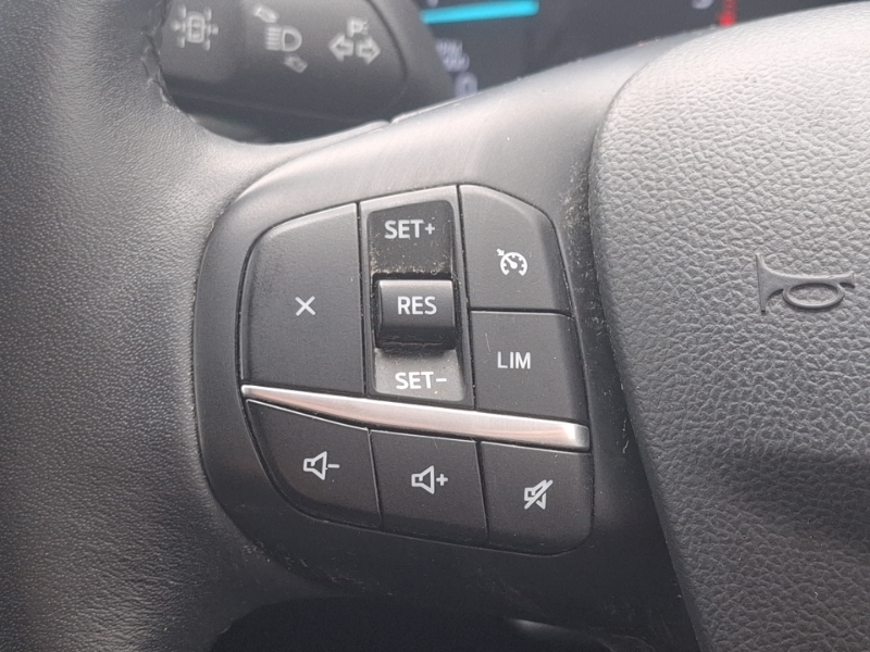 Ford Kuga Titanium Ecoblue Blue #12