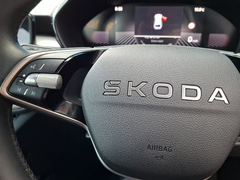 Skoda Fabia Se Edition Grey #12