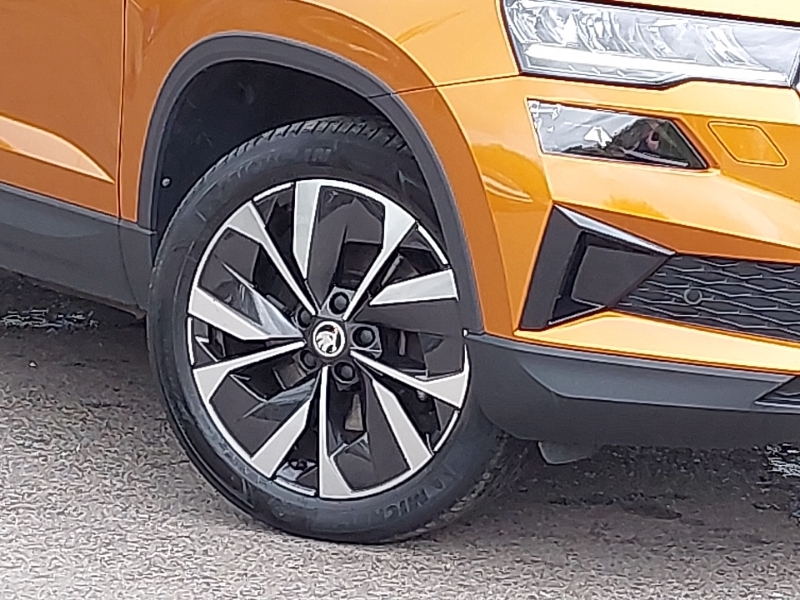 Skoda Karoq Se Technology Blue #19