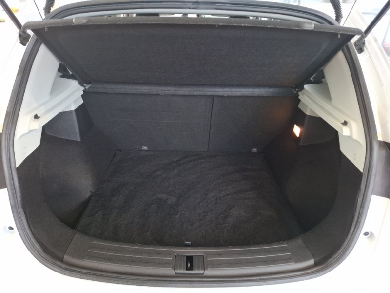 MG ZS #18