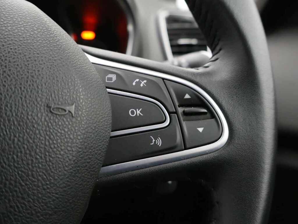 Renault Scenic Iconic Tce Blue #19