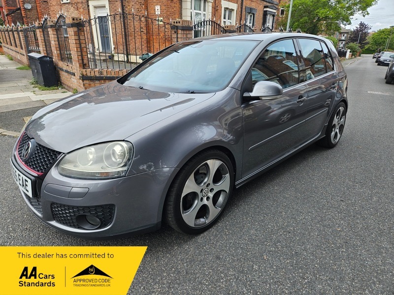 Volkswagen Golf Gti Grey #3