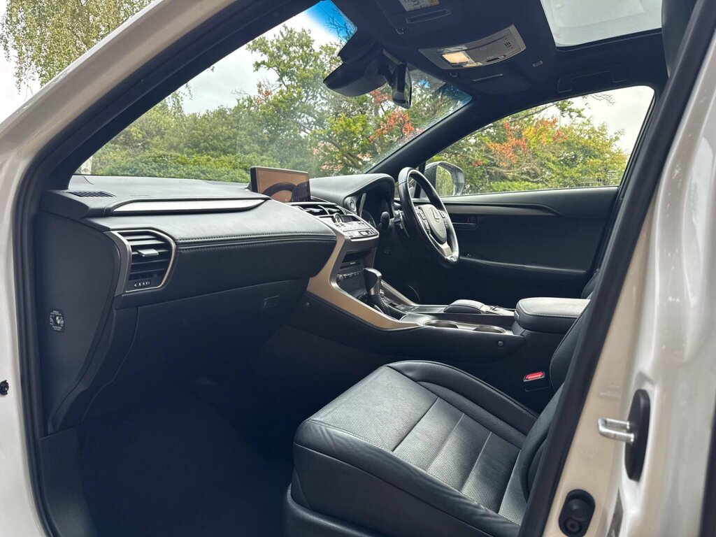 Lexus NX  Grey #51