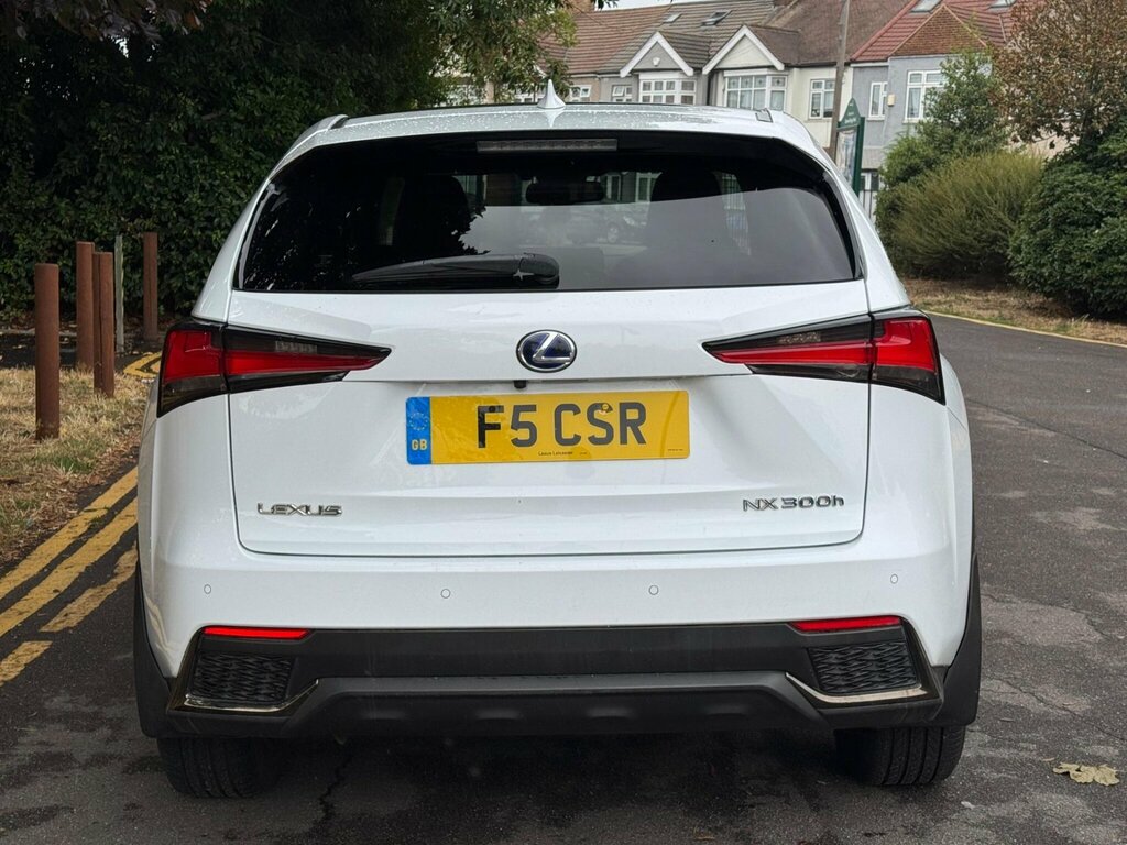 Lexus NX  Grey #10