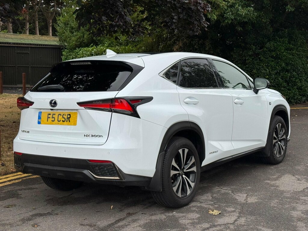 Lexus NX  Grey #12
