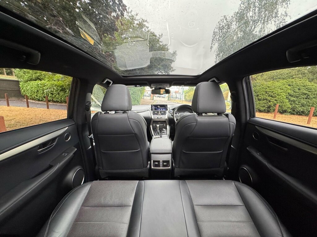 Lexus NX  Grey #21