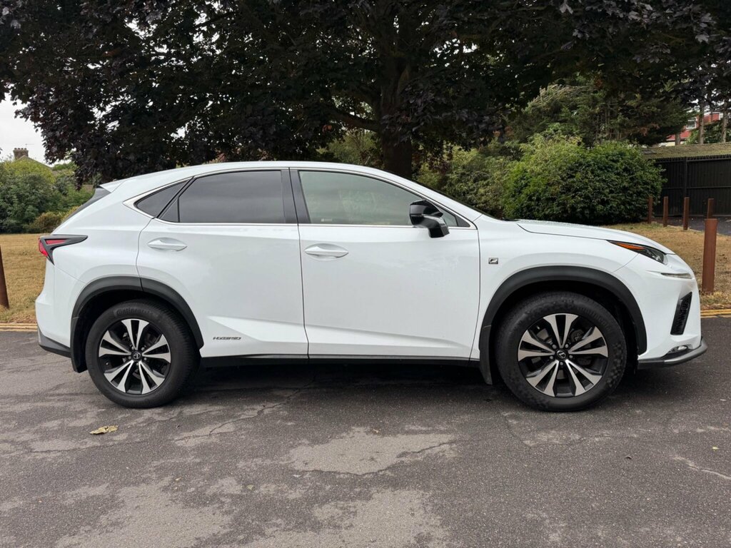 Lexus NX  Grey #11