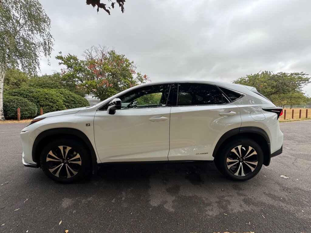 Lexus NX  Grey #9