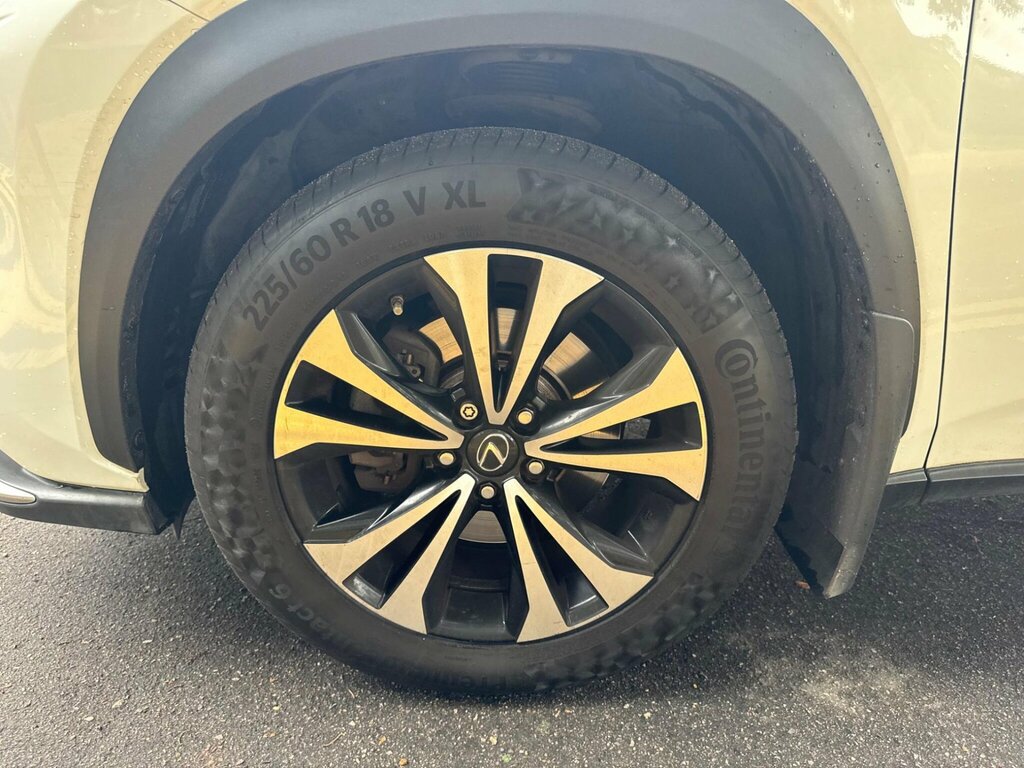 Lexus NX  Grey #40