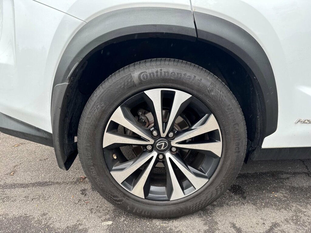 Lexus NX  Grey #38